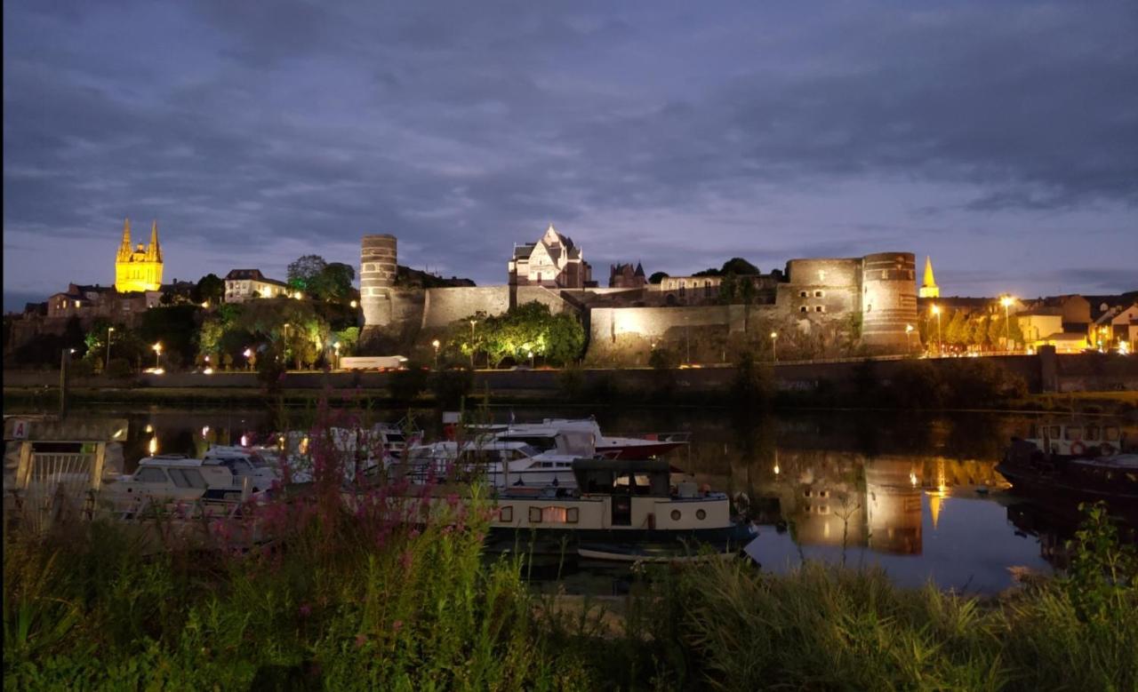 Le Chateau Angers Buitenkant foto