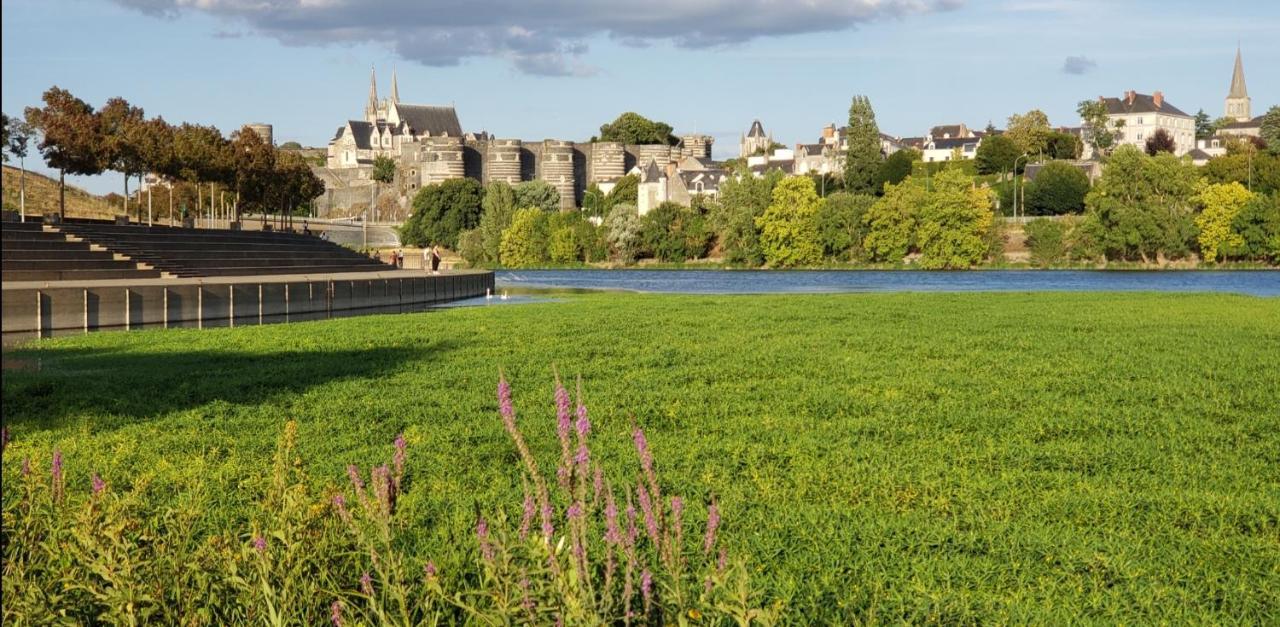 Le Chateau Angers Buitenkant foto