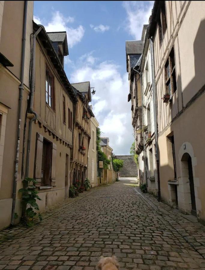 Le Chateau Angers Buitenkant foto